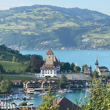 Herrlicher Blick Auf Berge Und See Faulensee Exteriér fotografie