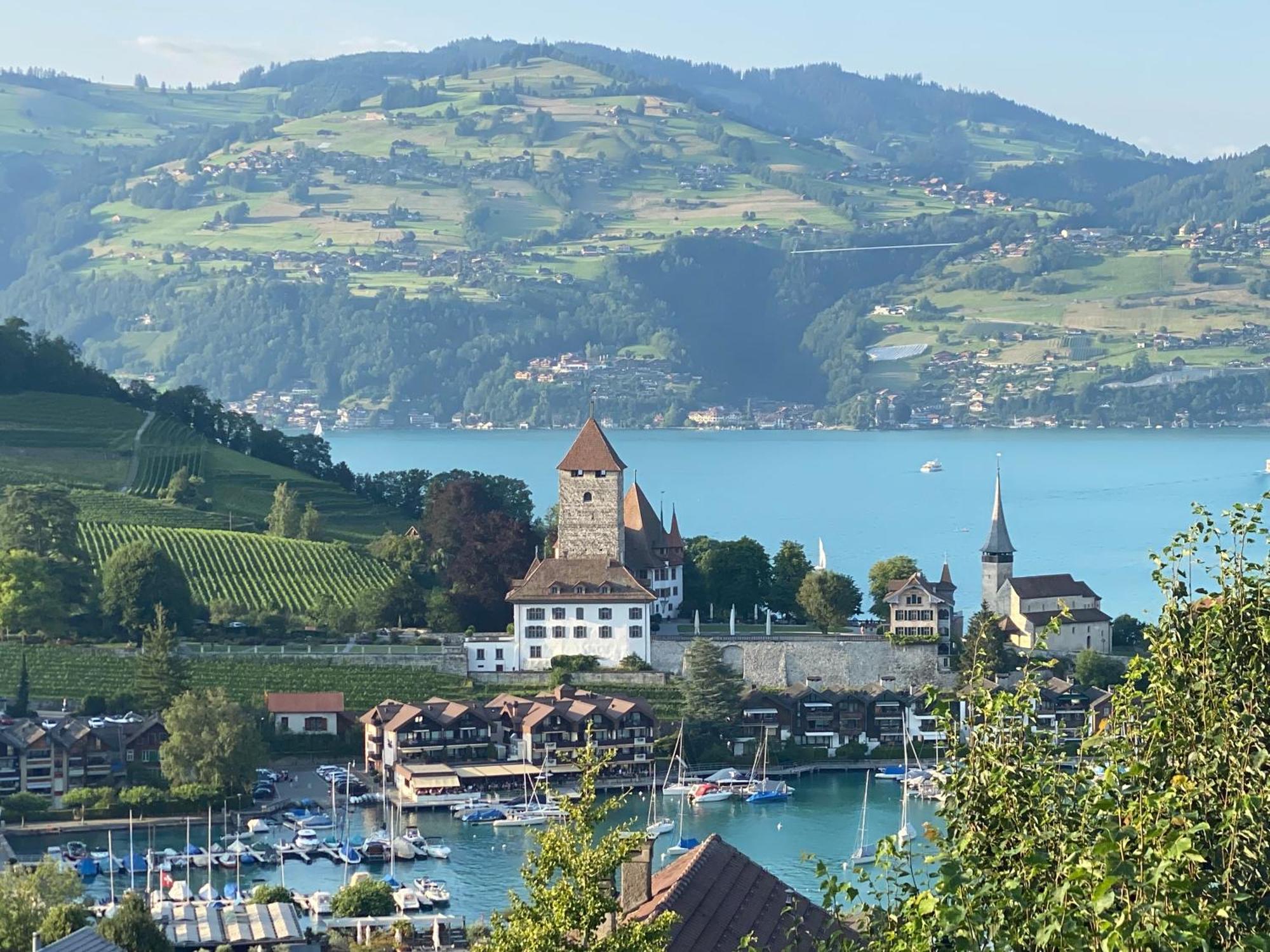 Herrlicher Blick Auf Berge Und See Faulensee Exteriér fotografie