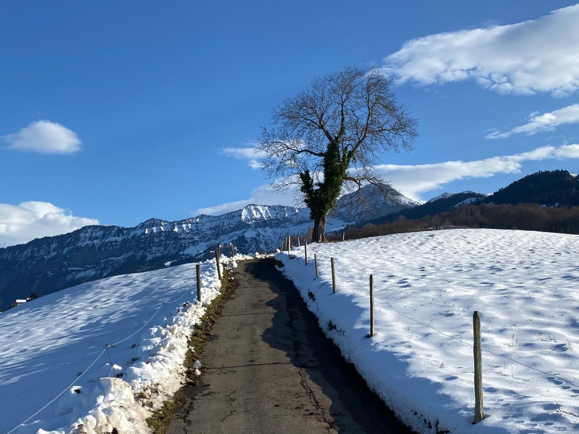 Herrlicher Blick Auf Berge Und See Faulensee Exteriér fotografie