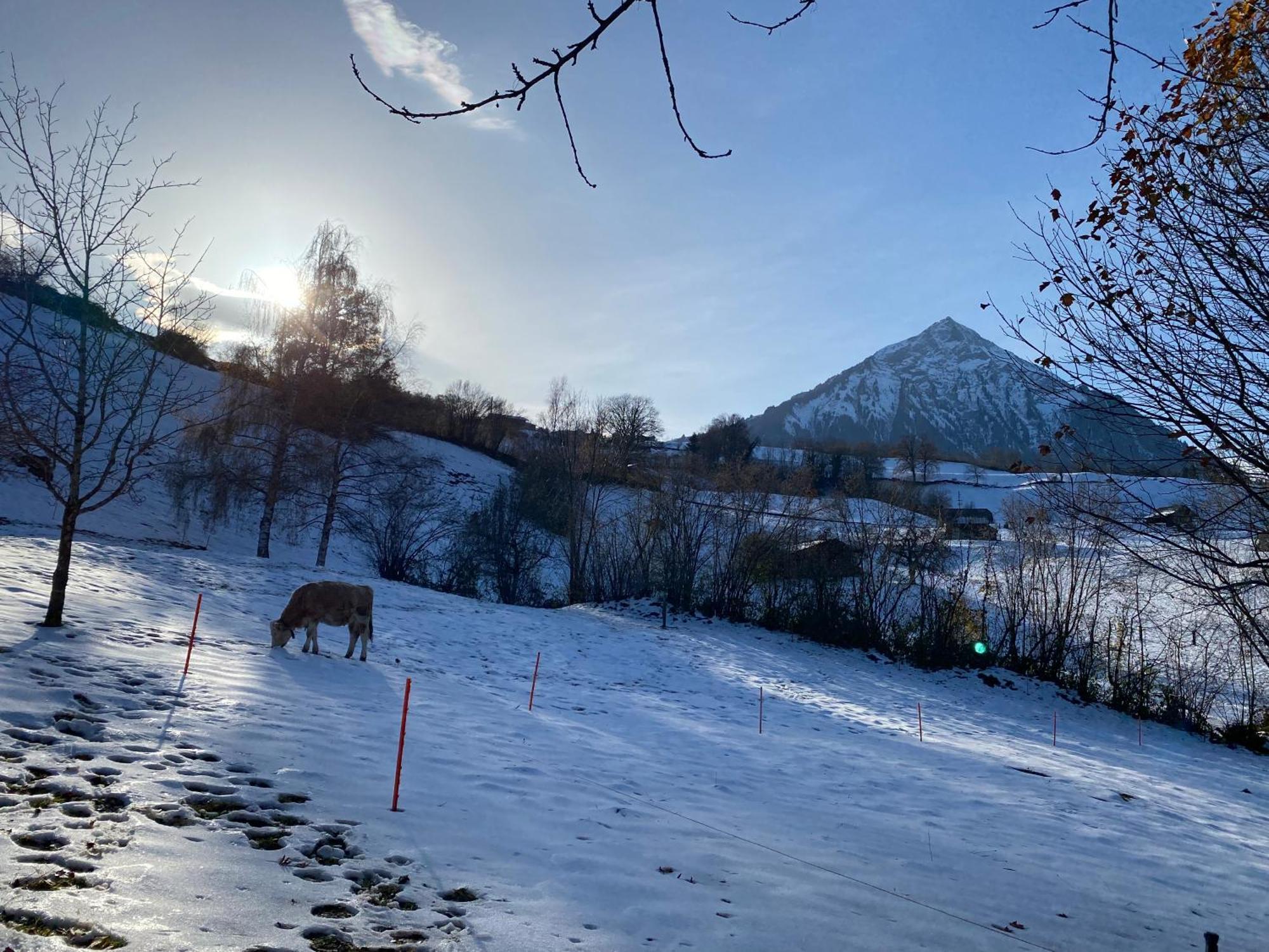 Herrlicher Blick Auf Berge Und See Faulensee Exteriér fotografie